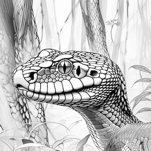 May include: Black and white illustration of a snake's head, showcasing detailed scales and a focused gaze. The snake is set against a blurred background of foliage and trees, creating a naturalistic scene. The artwork emphasizes the snake's eye and textured skin.