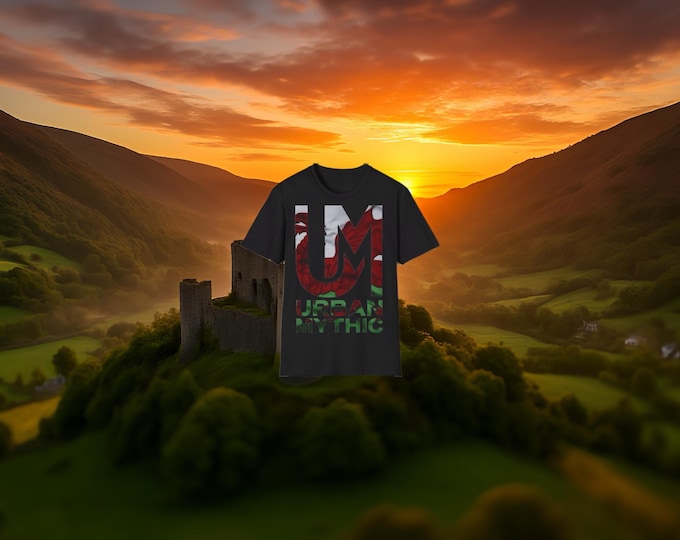 Black Welsh Flag T-Shirt | Urban Mythic Streetwear
