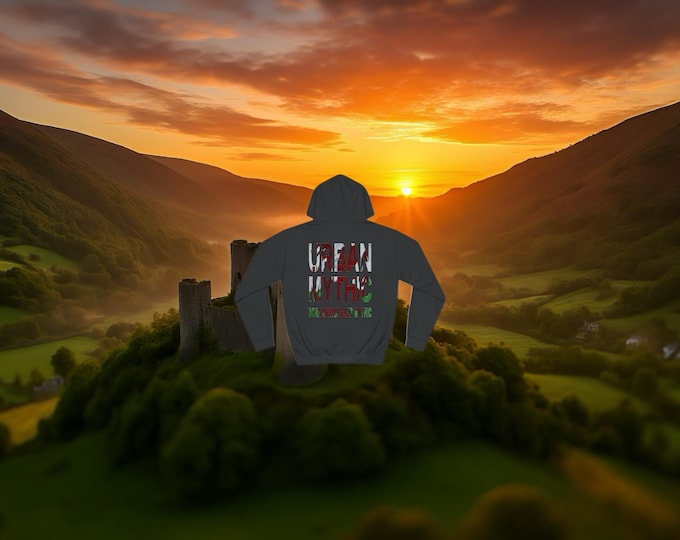 Black Welsh Flag Hoodie | Urban Mythic Streetwear