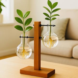 Vermehrungsstation mit Glasvase, Hydroponischer Pflanzer, Pflanzenhalter aus Holz, Geschenk für die Innenkultur