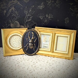 May include: Three decorative frames in a still life arrangement. A square gold frame with a circular opening, an oval black plaque with a gold beetle, and a double gold frame. The frames are on a white lace surface.