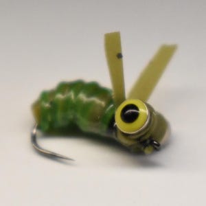 Attractor Grub – (5 Pack) Neon Larva Pattern