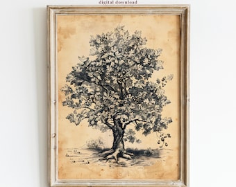 Vintage Oak Tree Print, Antique Botanical Illustration (Digital Download)