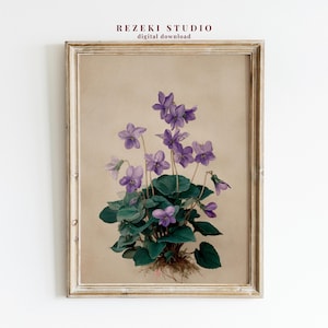 Impressão de parede botânica com flor violeta vintage - Arte botânica antiga, decoração natural Cottagecore (download digital)
