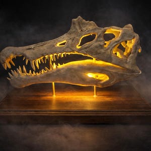 Può includere: Una scultura dettagliata di un teschio di dinosauro illuminato. Il teschio fossilizzato, con denti affilati, è montato su una base di legno e illuminato dall'interno, creando un effetto drammatico. Lo sfondo è scuro con una foschia fumosa.