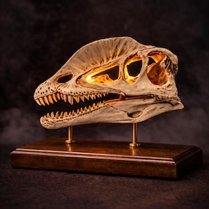 Lámpara de cráneo de Dilophosaurus | Decoración de dinosaurio fósil realista, luz LED cálida, base de madera