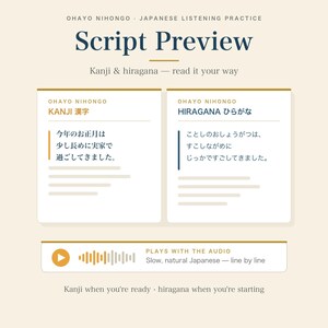 Japanese Listening Practice | 10 Short Diaries, Audio + Numbered Script PDF, Hiragana, Kanji, Optional English PDF | JLPT N5-N3 image 5