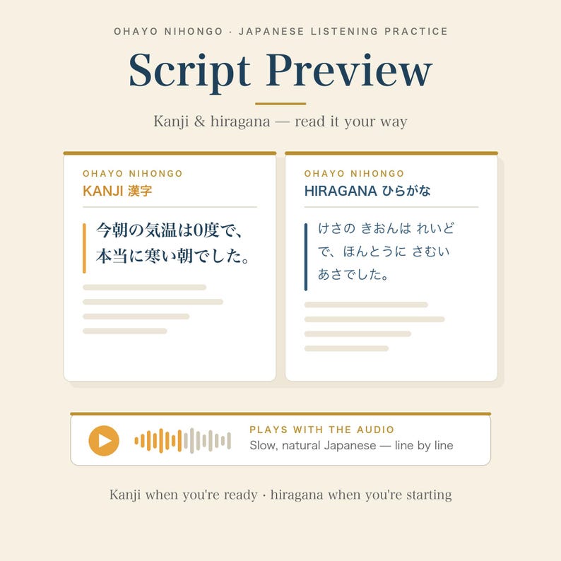 Japanese Listening Practice PDF + Audio | Real Diary, JLPT N5 N4 N3 Shadowing | Hiragana Script | [Vol.18 / 10 Days] image 4