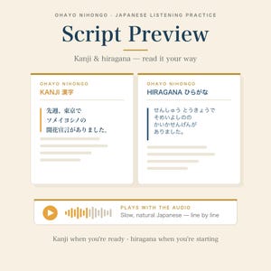 Japanese Listening Sample | 1 Short Diary, Audio + Script PDF, Hiragana, Kanji, Optional English PDF | JLPT N5-N3 image 5