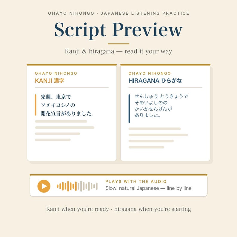 Japanese Listening Sample | 1 Short Diary, Audio + Script PDF, Hiragana, Kanji, Optional English PDF | JLPT N5-N3 image 5