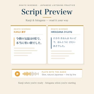 Learn Japanese Audio + PDF Vol.3 | JLPT N5 N4 N3 Listening & Shadowing | Real Tokyo Diary, Hiragana and Kanji Script | 5 Days image 5