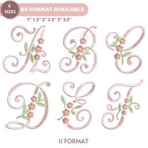 Pode incluir: Uma coleção de letras florais bordadas em um tom rosa suave, incluindo A, B, C, D, E e F. Cada letra é adornada com delicadas flores rosa e folhas verdes. A imagem também inclui texto indicando tamanhos e formatos.