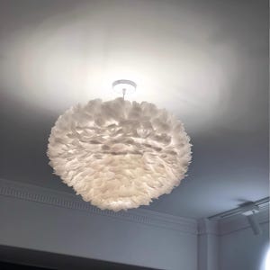 May include: A white, spherical pendant light with a fluffy, feather-like design. The light hangs from a white ceiling, creating a soft glow. The fixture is a decorative element for home lighting.