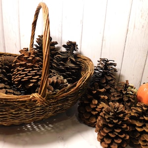 May include: A woven brown wicker basket with a tall arched handle, filled with several large, textured brown pinecones. Additional pinecones are arranged outside the basket, alongside a small, smooth, orange-colored decorative gourd.