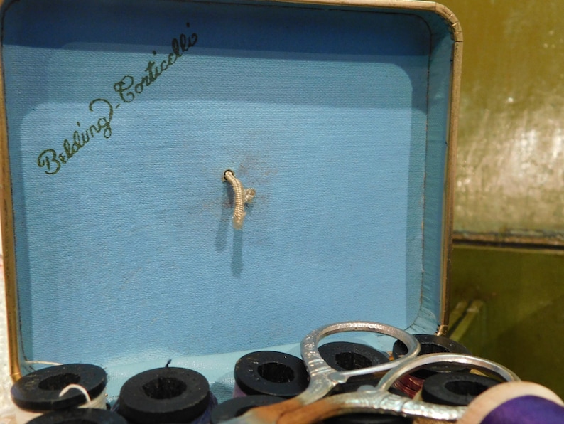 May include: Vintage sewing kit box with a light blue interior. The box contains spools of thread, scissors, and the text "Belding Corticelli" in green script. The box is open, revealing the contents.
