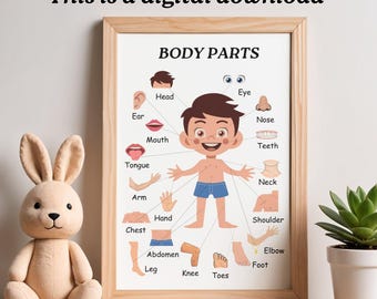Learn Human Body Parts – Fun & Colorful Educational Poster for Kids ...