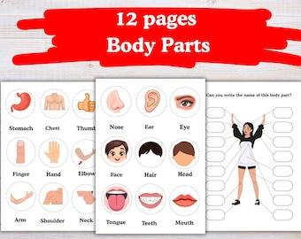 Werkbladen lichaamsdelen voor kinderen – 12 afdrukbare pagina's – thuisonderwijs en klassikaal Afdrukbare matching-oefeningen voor kinderen