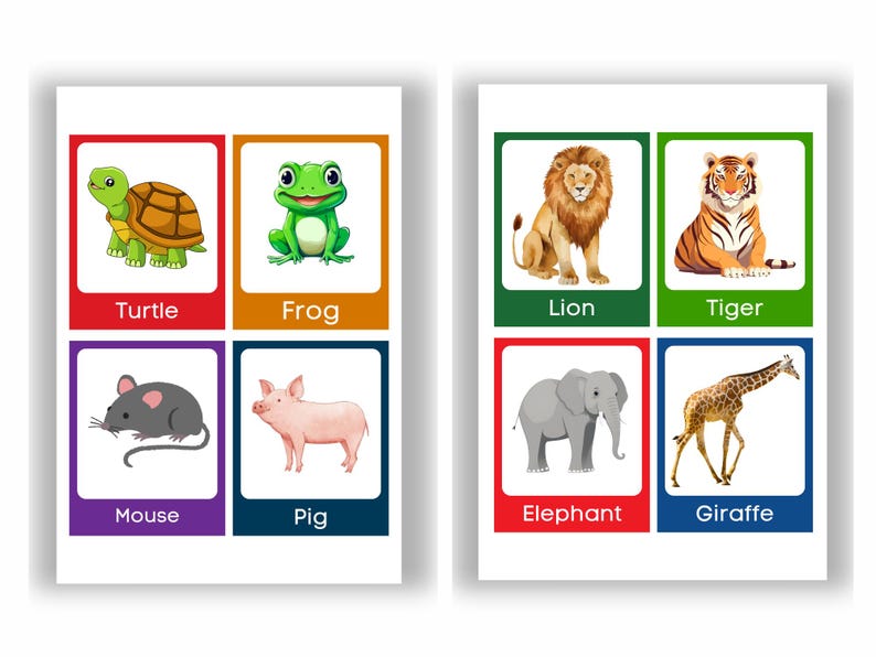 32 Animal Cards for Kids – Montessori Real Pictures to Learn Animal ...
