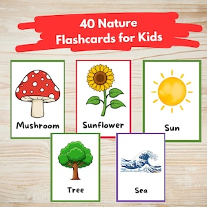 Könnte beinhalten: Ein Set aus fünf Natur-Lernkarten für Kinder, jede mit einer farbenfrohen Illustration und einem beschreibenden Wort. Die Karten zeigen einen Pilz, eine Sonnenblume, die Sonne, einen Baum und eine Meereswelle. Der Text "40 Nature Flashcards for Kids" steht oben.
