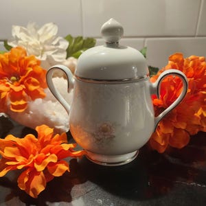 Vintage Noritake Irland Zuckerdose | Vorfreude auf Platinumrandung aus Porzellan