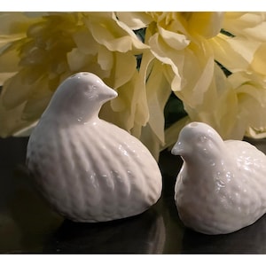 Peut inclure: Deux figurines d'oiseaux en céramique blanche avec une finition brillante et des détails de plumes texturés. Le plus grand oiseau est placé à gauche, tandis que le plus petit est à droite. Les deux présentent une forme arrondie et un bec.
