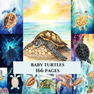May include: A collection of watercolor illustrations of sea turtles in various settings. The central image features a large turtle on a beach with eggs. The text "BABY TURTLES 166 PAGES" is displayed below the central image. The illustrations showcase the turtles in different colors and environments.