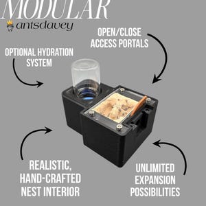 Modular 0:1 Founding Nest w/Humidity | Ant Farm/ Ant Nest