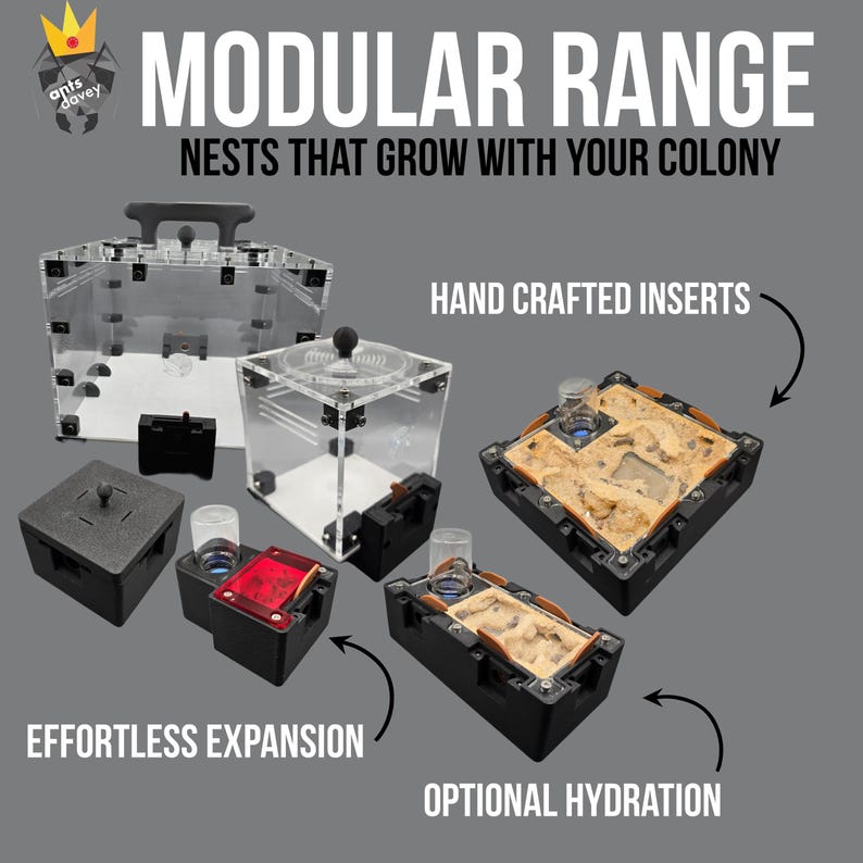 Modular 0:1 Small Outworld | Ant Farm/ Ant Nest - Etsy