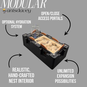 モジュラー式 2:1 小型巣（湿度調整機能付き） | アリの巣