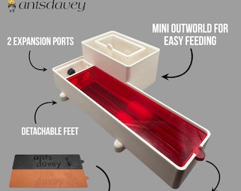 Test Tube Nest (Ant Farm Starter Kit) – Founding Setup for Ant Colonies