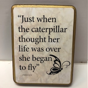Just when the Caterpillar thought her life was over she began to fly.