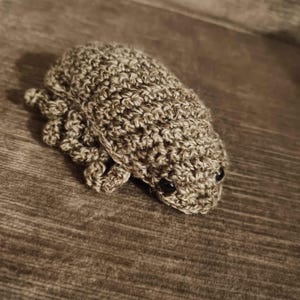 May include: A crocheted, light brown and grey bug with black eyes. The handmade insect has a textured surface and multiple small legs. The bug is lying on a wooden surface.
