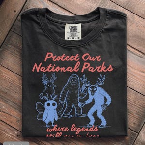 May include: Black t-shirt with the text "Protect Our National Parks" in pink. The shirt features blue illustrations of mythical creatures. The shirt is made by Comfort Colors and is a medium size.