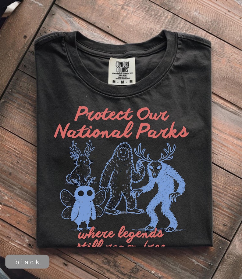 May include: Black t-shirt with the text "Protect Our National Parks" in pink. The shirt features blue illustrations of mythical creatures. The shirt is made by Comfort Colors and is a medium size.