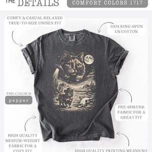 Pu&ograve; includere: T-shirt unisex color pepe con una grafica raffigurante un gatto, un UFO, un paesaggio desertico e un teschio. La maglietta &egrave; realizzata in 100% cotone americano filato ad anello e ha un tessuto pre-ristretto per una vestibilit&agrave; ottimale. Il testo sulla maglietta dice "THE DETAILS" e "COMFORT COLORS 1717".