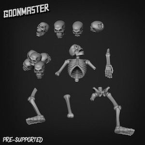 May include: A grayscale image of a disassembled skeleton model. The model includes a rib cage, skull, arm, leg, and other skeletal components. The text "GOONMASTER" and "PRE-SUPPORTED" are visible.