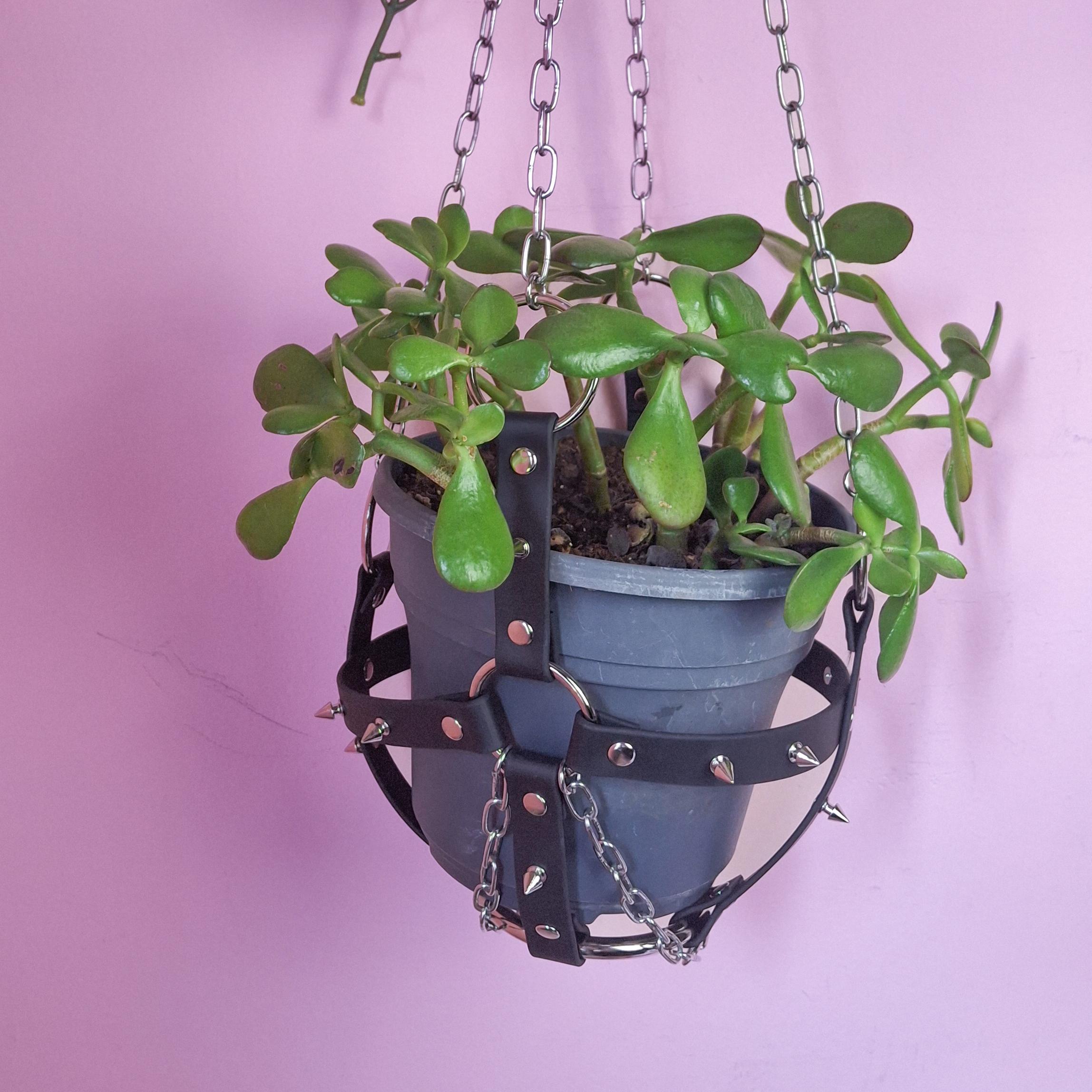 Bondage Plant Hanger - Etsy Sweden