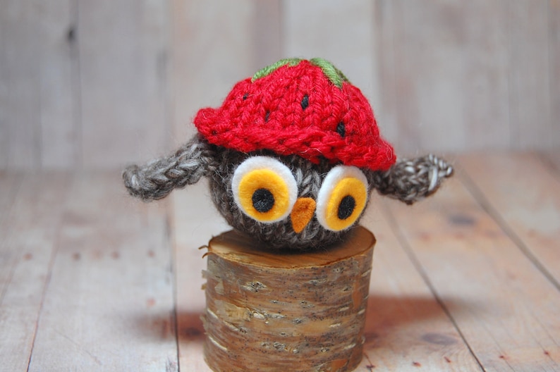 Owl Christmas Ornament Owl Ornament Owl in Hat Ornament Stuffed Owl Knit Owl Ornament Holiday Owl Toy Stuffed Owl Strawberry Hat Owl