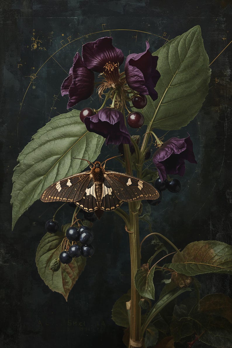 Botanical Moth Art Print | Dark Academia Whimsigoth Wall Decor - Etsy