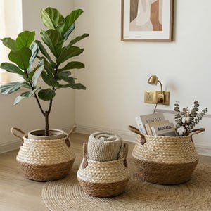 May include: Three woven storage baskets with brown and natural tones. One basket holds a potted plant, another a rolled blanket, and the third contains books and decorative sprigs. The baskets have handles.