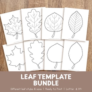May include: A collection of eight white paper sheets featuring black line art illustrations of various leaf shapes. The top row shows detailed leaves with veins, while the bottom row displays simple leaf outlines. Text at the bottom reads LEAF TEMPLATE BUNDLE, Different leaf styles & sizes | Ready to Print | Letter & A4.