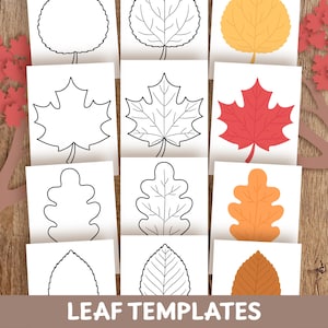 Plantillas de hojas / Paquete de plantillas para tablón de anuncios de otoño / Manualidades de hojas imprimibles / Páginas para colorear de Halloween (arce, roble, álamo temblón, aliso)