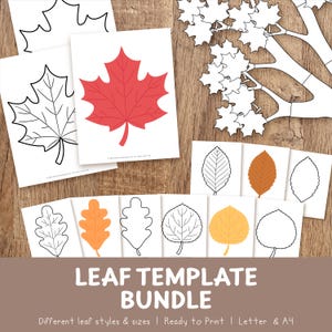 Paquete de plantillas de hojas de otoño / Plantillas para tablón de anuncios de Halloween / Manualidades con hojas imprimibles / Páginas para colorear de otoño (arce, roble, álamo temblón, aliso)