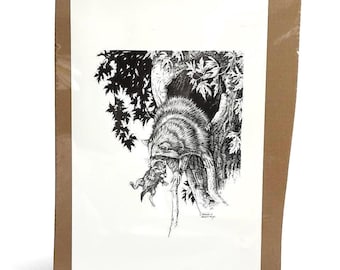 Vintage Charles Schwartz Raccoon Fine Art Lithograph Large Wildlife Print