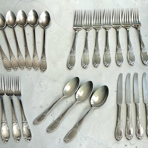 May include: A collection of stainless steel flatware including six small spoons, seven dinner forks, four salad forks, three large spoons, and five dinner knives. Each piece features a polished finish and a decorative floral motif on the handle.
