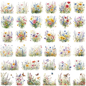 May include: A collection of watercolor illustrations featuring various wildflower bouquets. Each arrangement showcases a mix of colorful blooms, including daisies, poppies, and lavender, with butterflies and birds. The artwork is set against a white background.