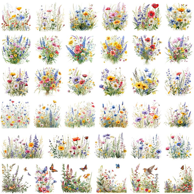 May include: A collection of watercolor illustrations featuring various wildflower bouquets. Each arrangement showcases a mix of colorful blooms, including daisies, poppies, and lavender, with butterflies and birds. The artwork is set against a white background.