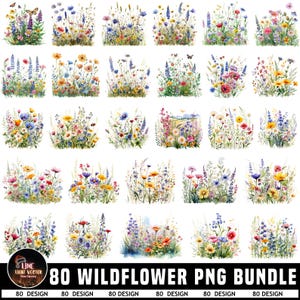 May include: A selection of watercolour illustrations of wildflowers in various colours, including blue, yellow, pink, and purple. The image includes the text "80 WILDFLOWER PNG BUNDLE". Each design is a unique arrangement of flowers and greenery.