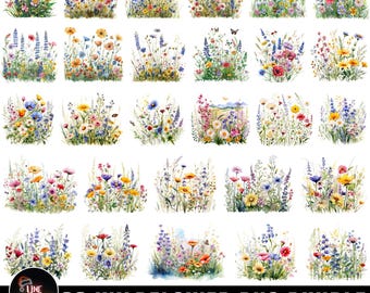 Wildflower Png Bundle, Wildflower Clipart, Boho Wildflowers Png, Wildflower Nature Images, Flowers Png, Sublimation Design, Instant Download