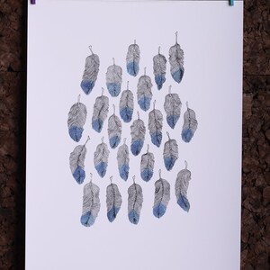 Puede incluir: Un fondo blanco con un grupo de plumas azules y grises. Las plumas est&aacute;n dibujadas de forma detallada y estilizada.